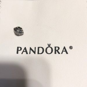 Pandora charm